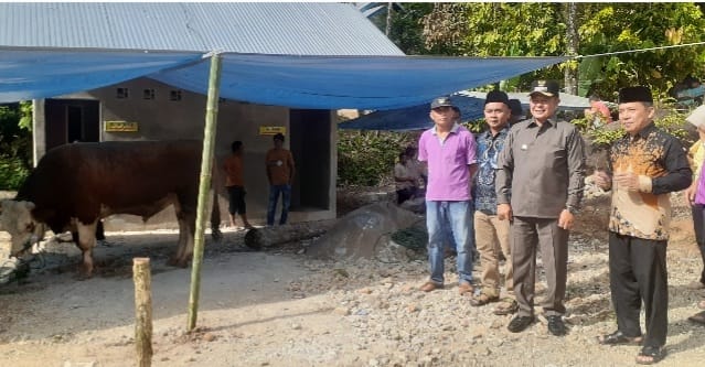 Bupati Pasaman, Welly Suhery